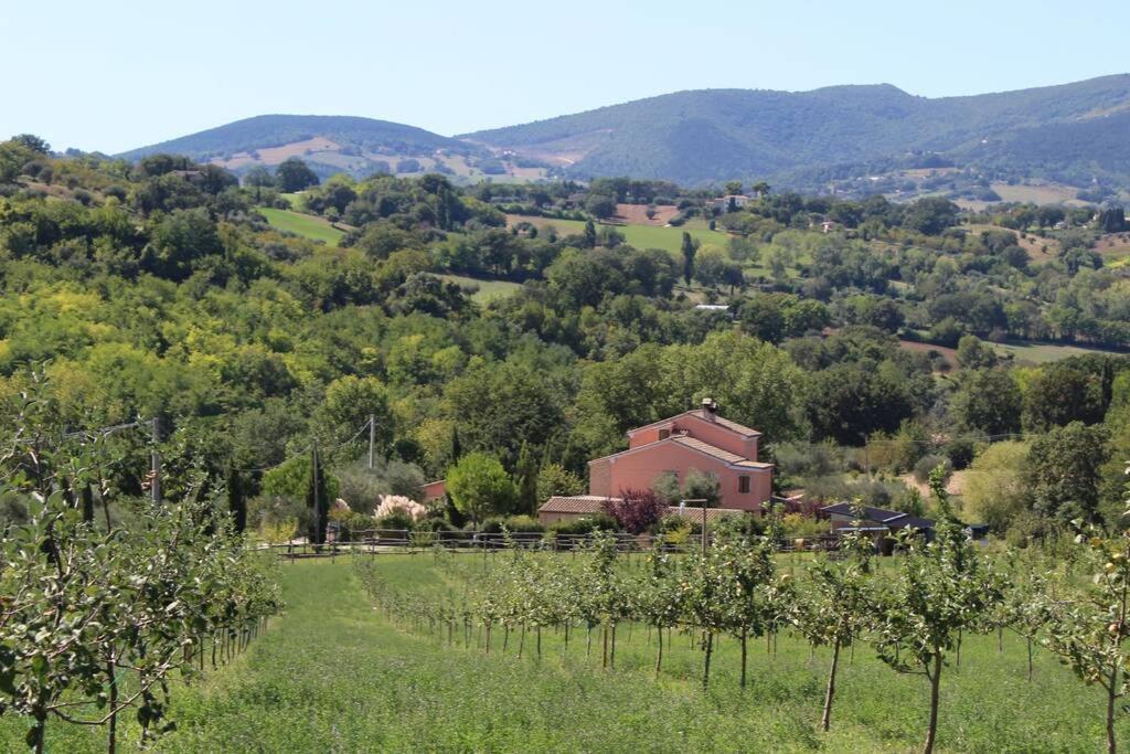Casa Kikenda, Viaggio Nella Natura Treia Eksteriør billede