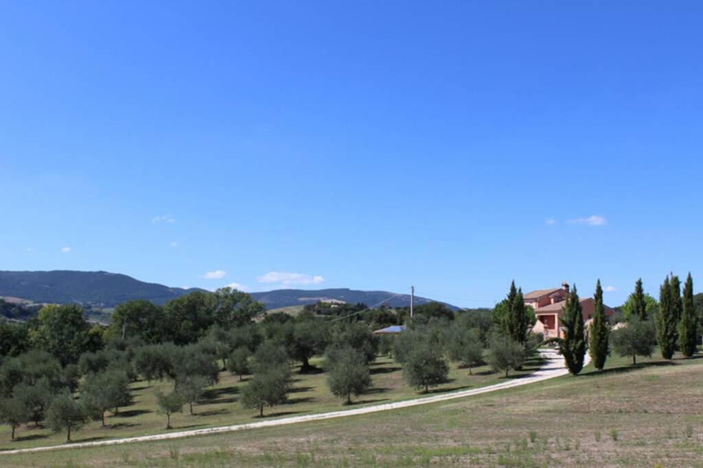 Casa Kikenda, Viaggio Nella Natura Treia Eksteriør billede