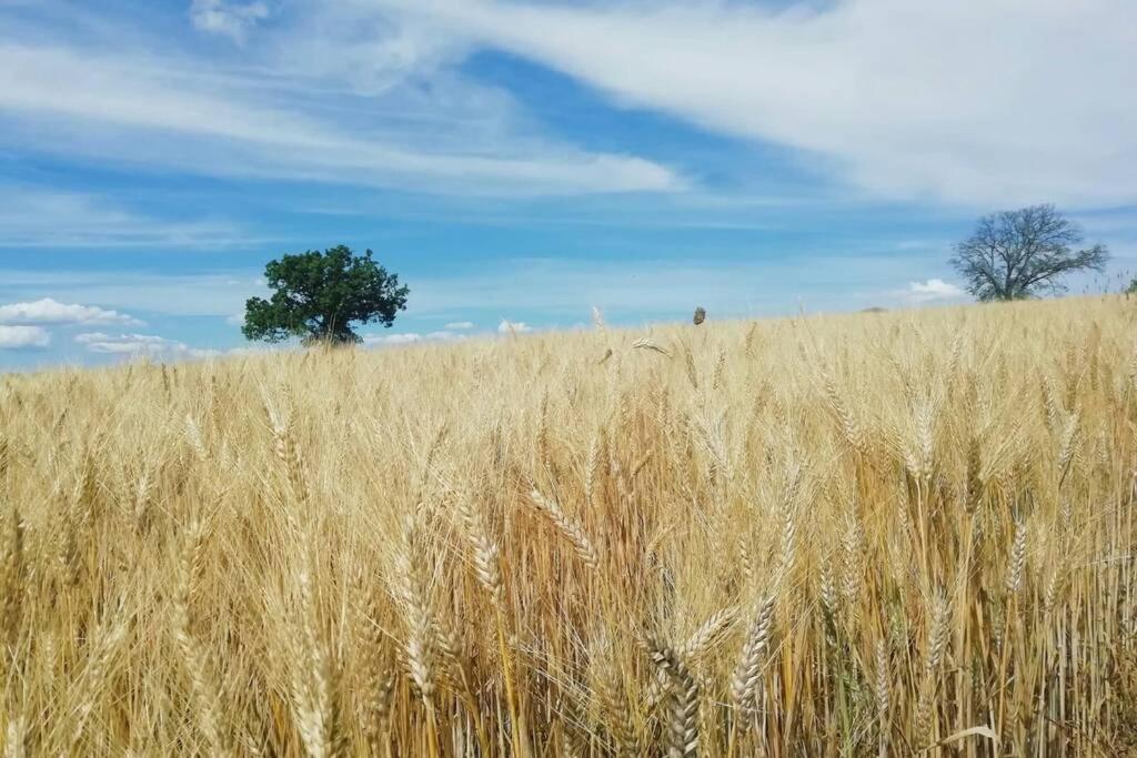 Casa Kikenda, Viaggio Nella Natura Treia Eksteriør billede