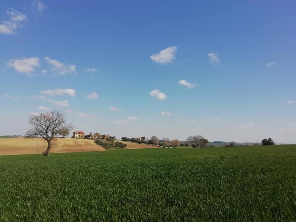 Casa Kikenda, Viaggio Nella Natura Treia Eksteriør billede