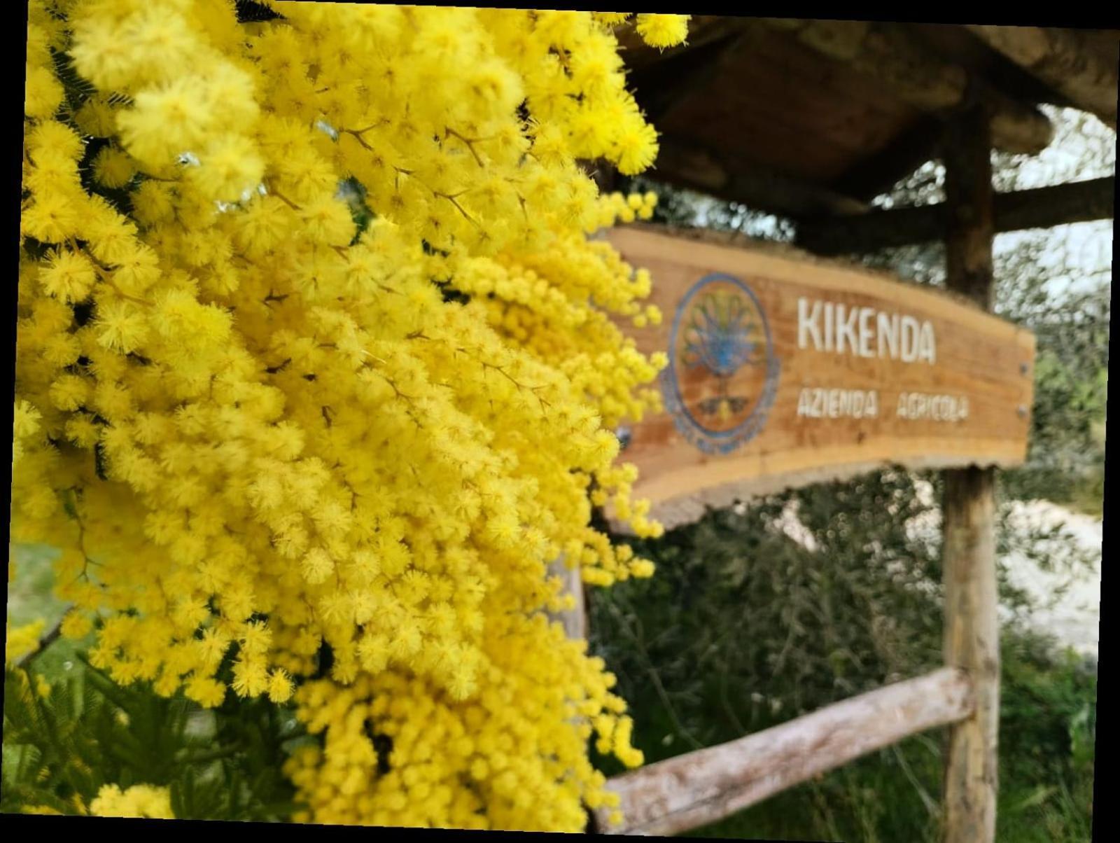 Casa Kikenda, Viaggio Nella Natura Treia Eksteriør billede