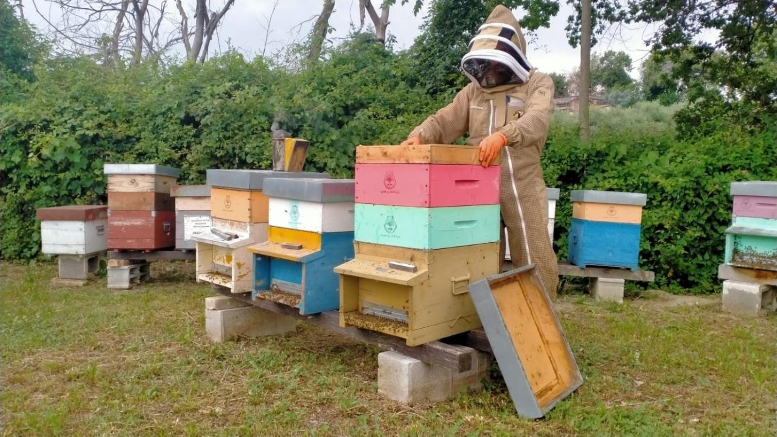 Casa Kikenda, Viaggio Nella Natura Treia Eksteriør billede