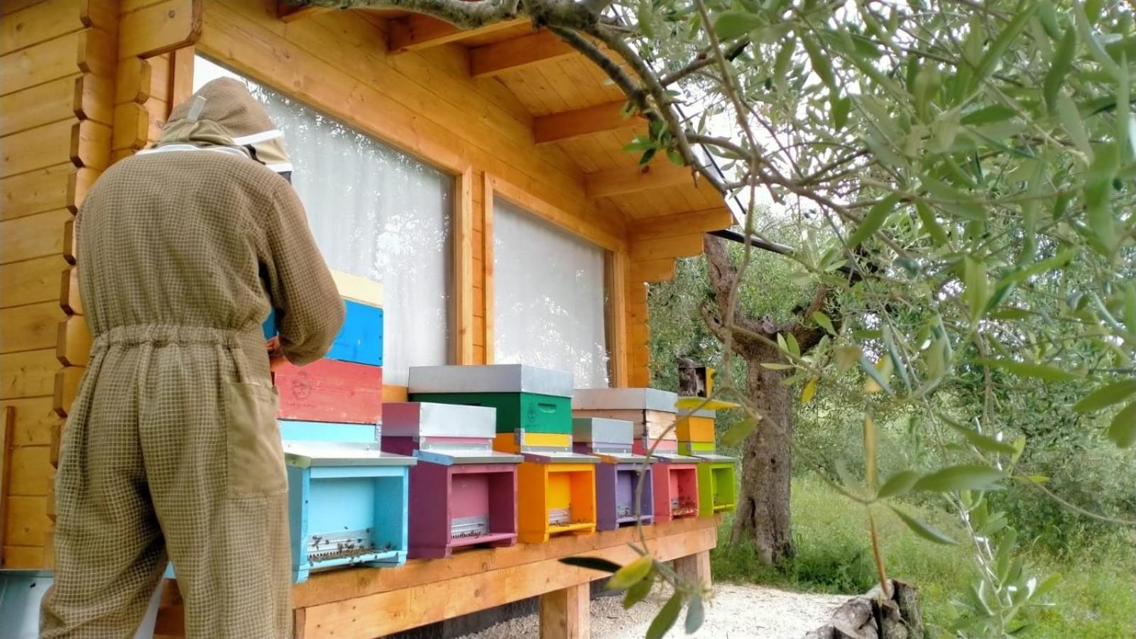 Casa Kikenda, Viaggio Nella Natura Treia Eksteriør billede