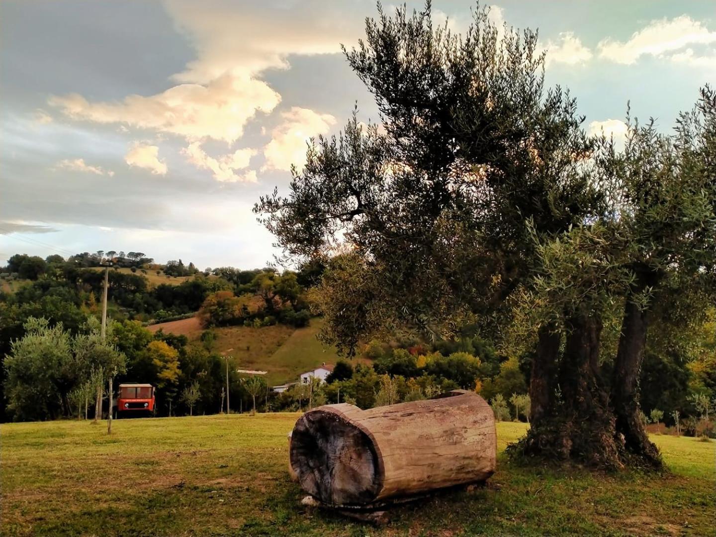 Casa Kikenda, Viaggio Nella Natura Treia Eksteriør billede